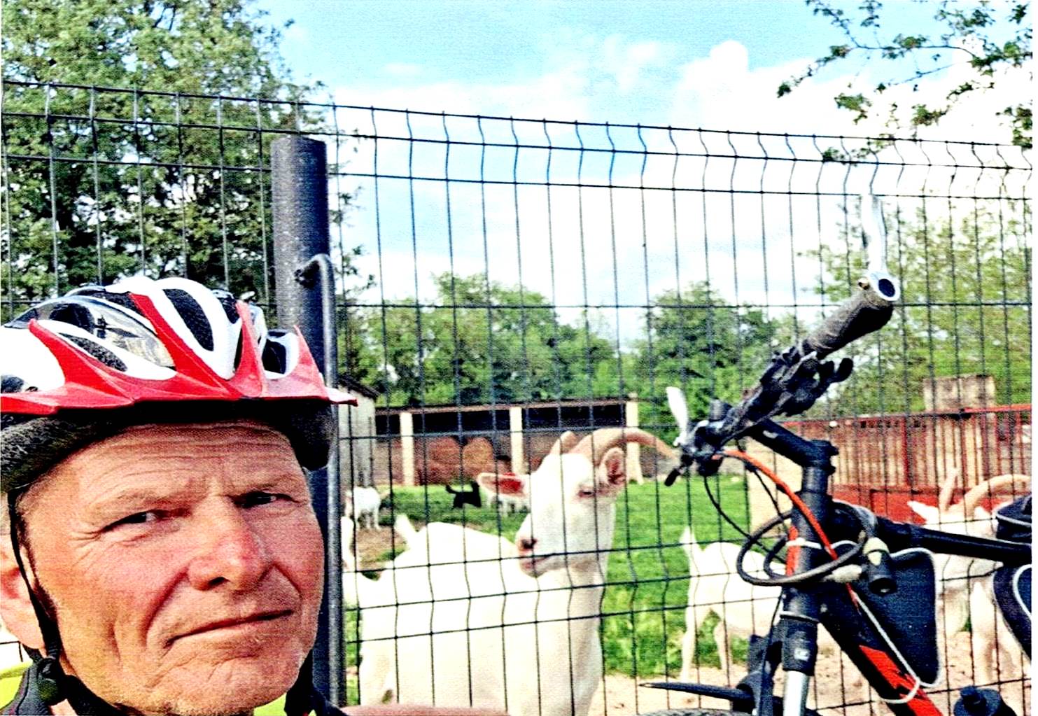 Bono Dugonjić: Istra biciklom